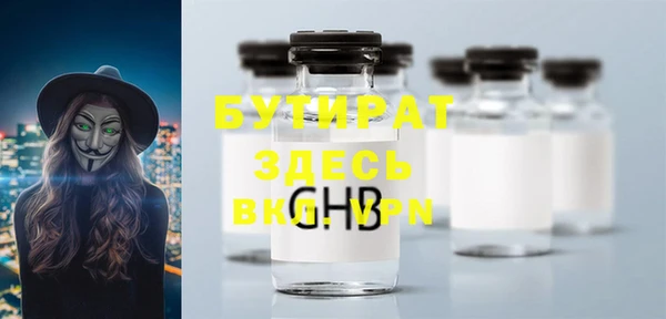 индика Каменногорск