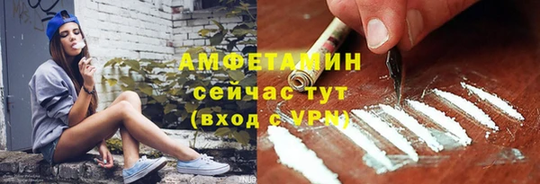 шишки Семёнов